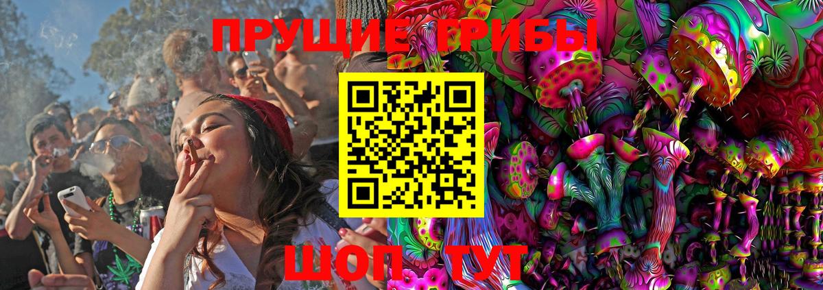 Балабаново  Псилоцибиновые грибы Psilocybe  Вход с VPN 