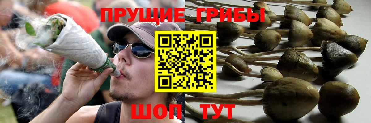 Галлюциногенные грибы MAGIC MUSHROOMS Балабаново